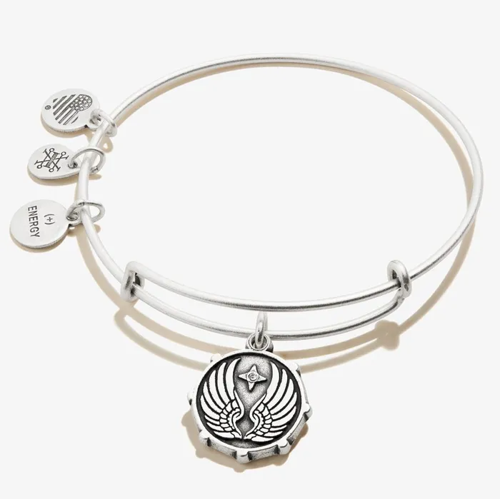 Alex And Ani Bracelets Women Guardian Angel Wings Charm Bangle Rafaelian Gold