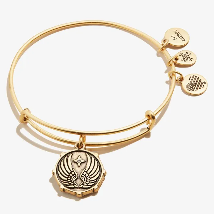 Alex And Ani Bracelets Women Guardian Angel Wings Charm Bangle Rafaelian Gold