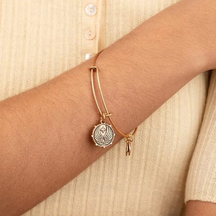 Alex And Ani Bracelets Women Guardian Angel Wings Charm Bangle Rafaelian Gold
