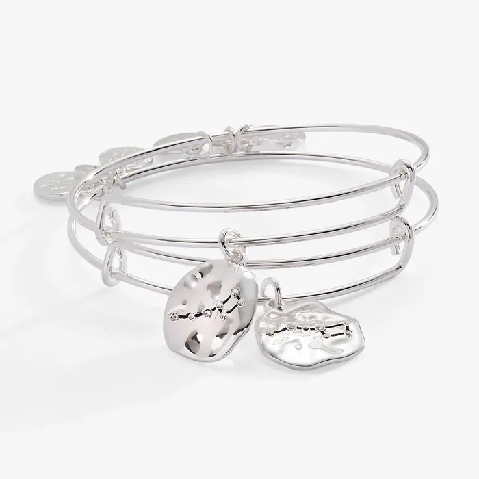 Alex And Ani Bracelets Women Little Dipper Bff Bangle Set Of 2 Silver