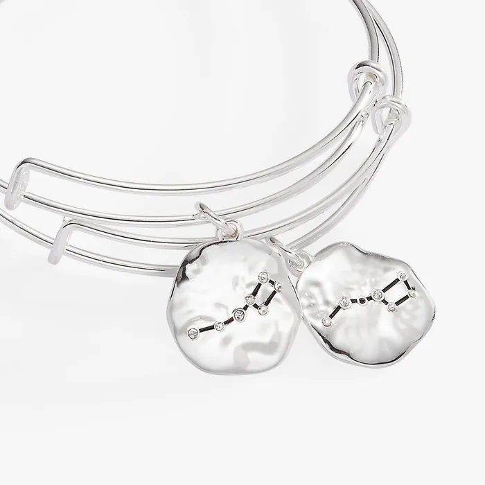 Alex And Ani Bracelets Women Little Dipper Bff Bangle Set Of 2 Silver