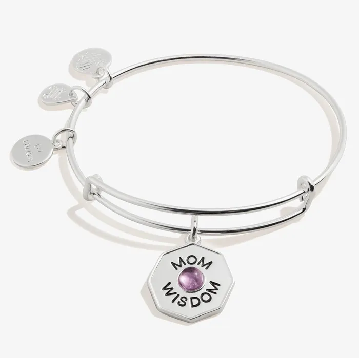 Alex And Ani Bracelets Women Mom Wisdom039 Amethyst Charm Bangle Bracelet Silver