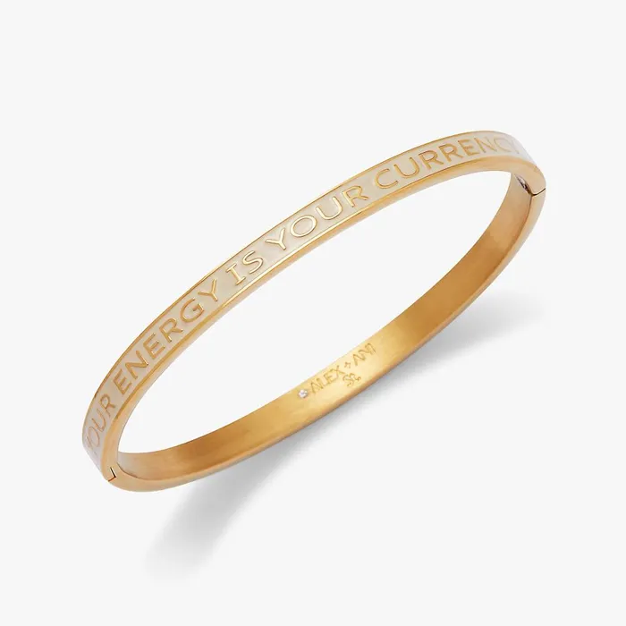 Alex And Ani Bracelets Women Your Energy Is Your Currency039 Hinge Bangle Stainless Steel Gold