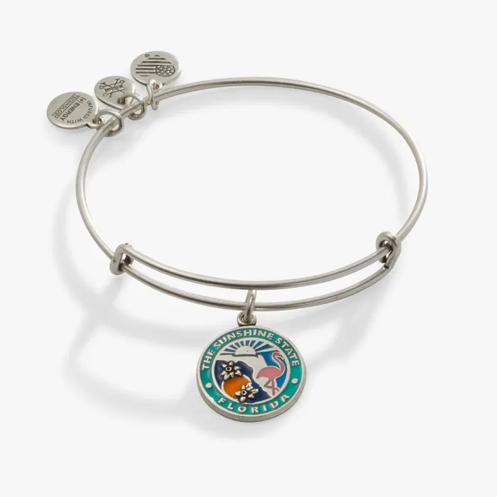 Alex And Ani Iconic Women Florida Charm Bangle Bracelet Rafaelian Silver