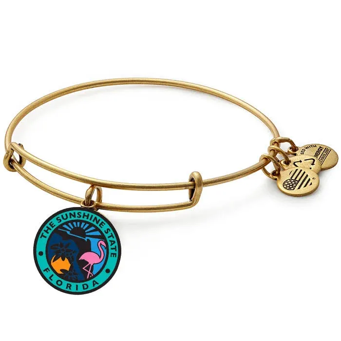 Alex And Ani Iconic Women Florida Charm Bangle Bracelet Rafaelian Silver