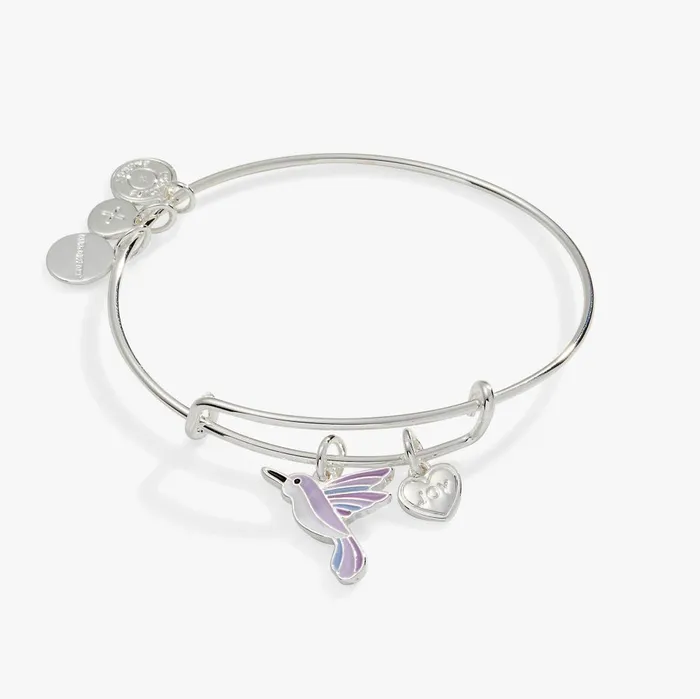 Alex And Ani Iconic Women Joy039 Hummingbird Duo Charm Bangle Bracelet Silver