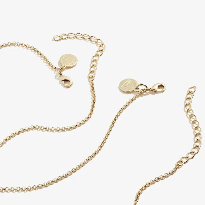 Alex And Ani Jewelry Sets Women Best Friend Necklaces Pink Red Set Of 2 Shiny Gold