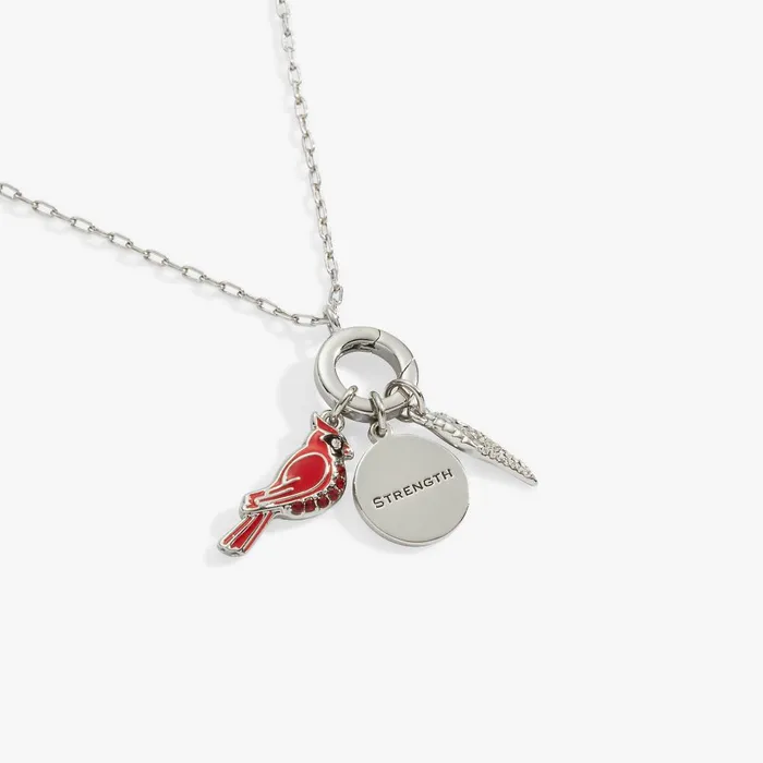 Alex And Ani Jewelry Sets Women Cardinal Mix Match Charm Necklace Silver