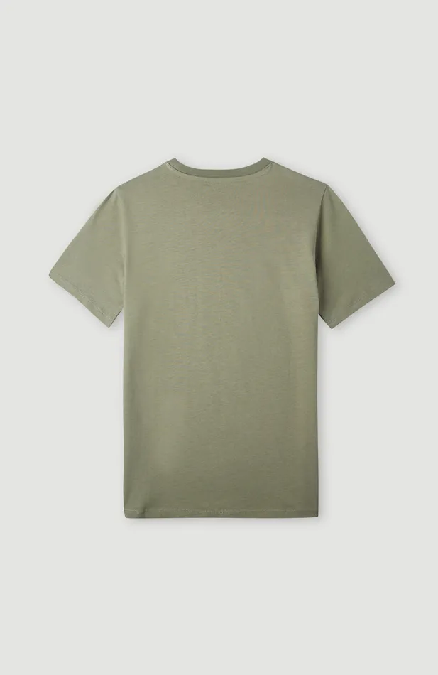 Kids Surf State TShirt Green O039Neill TShirts Kids Surf State TShirt Green O039Neill TShirts
