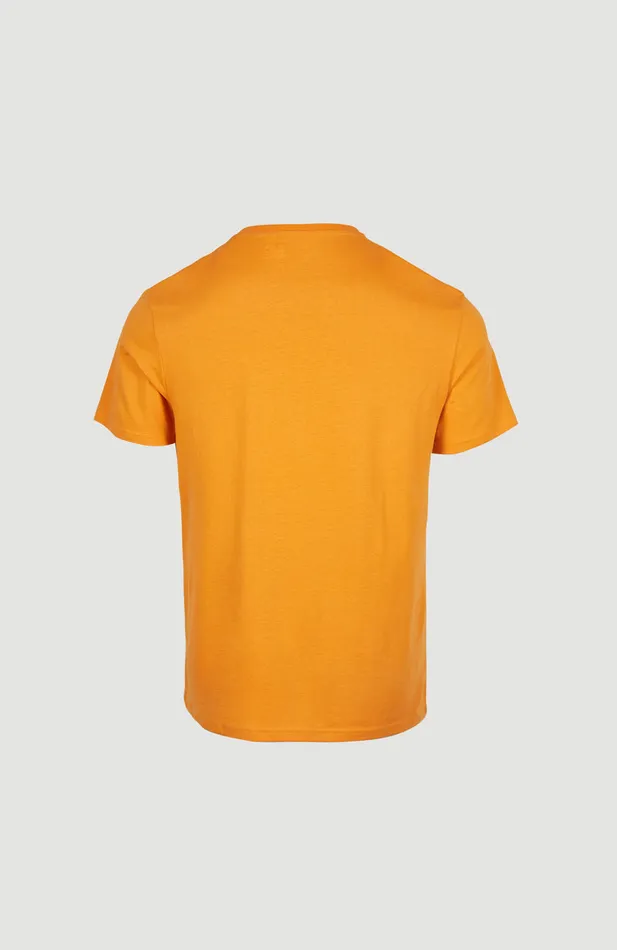 Men Fin TShirt Brown O039Neill TShirts Men Fin TShirt Brown O039Neill TShirts