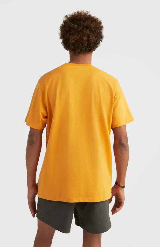 Men Stream TShirt Brown O039Neill TShirts Men Stream TShirt Brown O039Neill TShirts