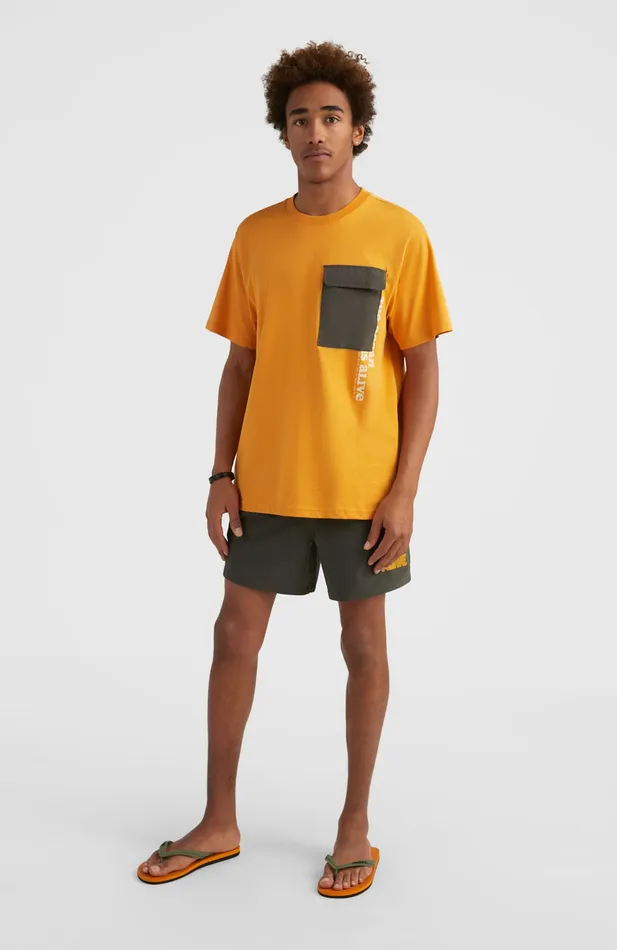 Men Stream TShirt Brown O039Neill TShirts Men Stream TShirt Brown O039Neill TShirts