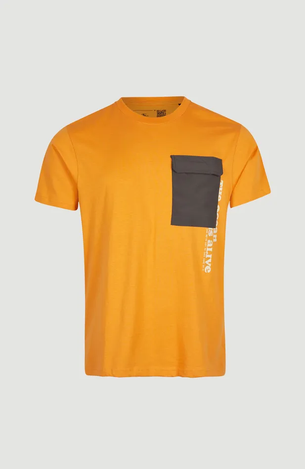Men Stream TShirt Brown O039Neill TShirts Men Stream TShirt Brown O039Neill TShirts