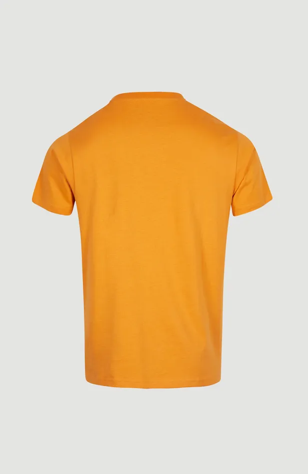 Men Stream TShirt Brown O039Neill TShirts Men Stream TShirt Brown O039Neill TShirts