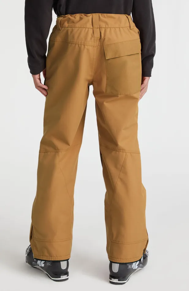 Men Utility Snow Pants Brown O039Neill Ski Pants and Bibs Men Utility Snow Pants Brown O039Neill Ski Pants and Bibs