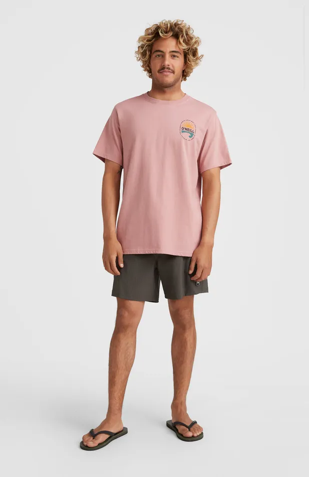 Men Vert Camorro 16039039 Swim Shorts Grey O039Neill Swimshorts Men Vert Camorro 16039039 Swim Shorts Grey O039Neill Swimshorts