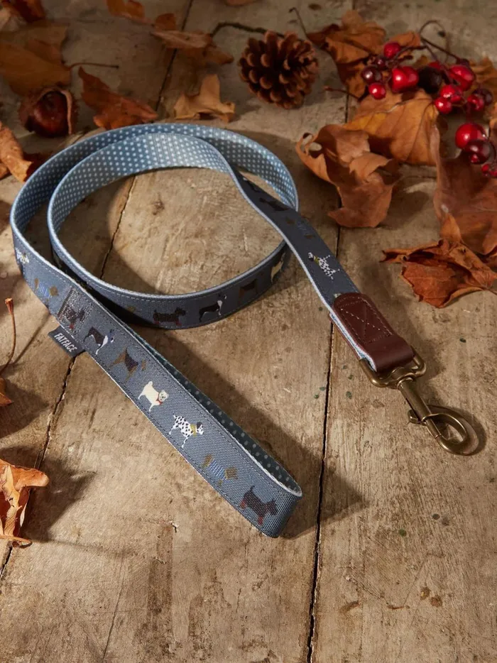 Pet Accessories Fat Face Grey Dogs Large Lead