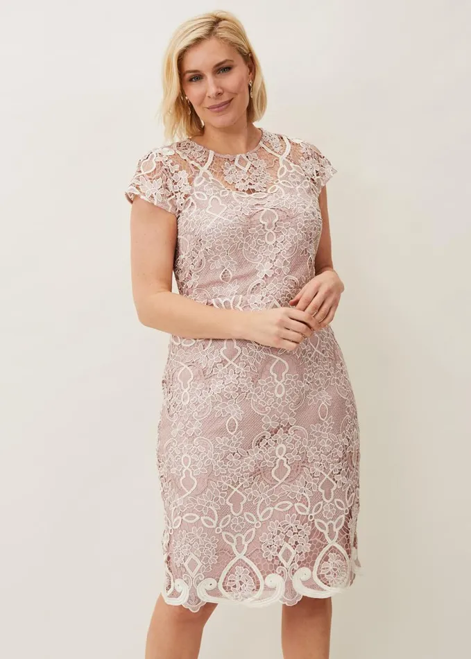 Phase Eight Dresses Women Frances Lace Fitted Dress Petal