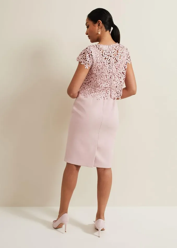 Phase Eight Dresses Women Petite Daisy Lace Midi Dress Pale Pink
