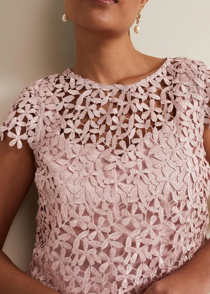 Phase Eight Dresses Women Petite Daisy Lace Midi Dress Pale Pink