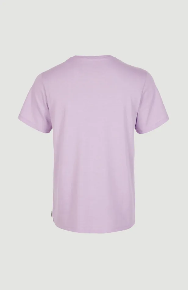 Women Essentials VNeck TShirt Purple O039Neill TShirts and Tops Women Essentials VNeck TShirt Purple O039Neill TShirts and Tops