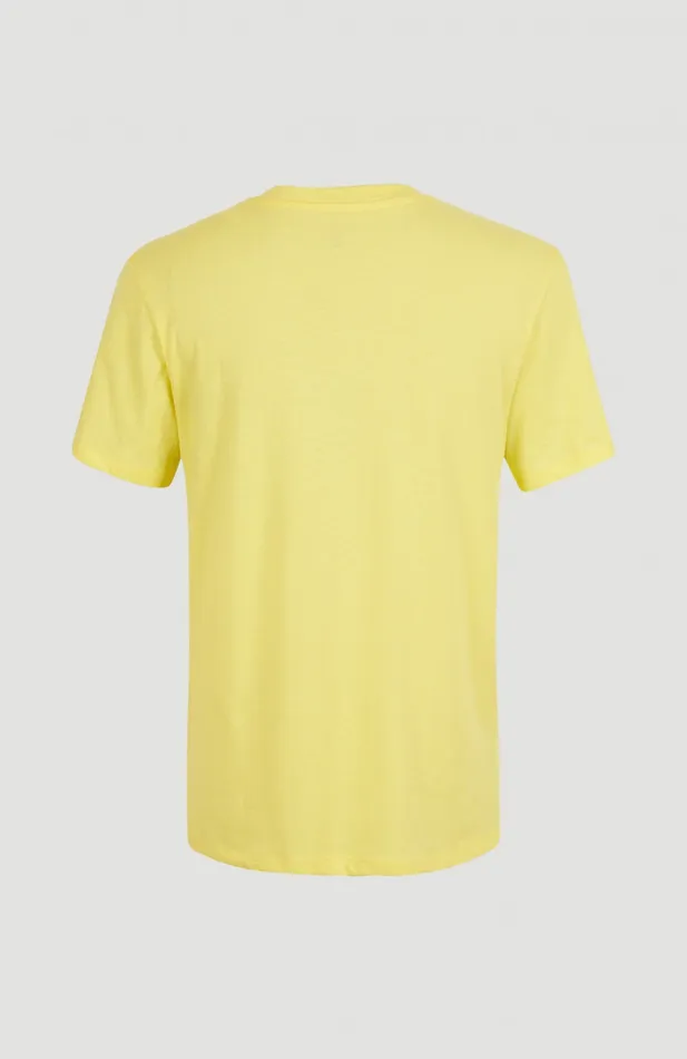 Women Essentials VNeck TShirt Yellow O039Neill TShirts and Tops Women Essentials VNeck TShirt Yellow O039Neill TShirts and Tops