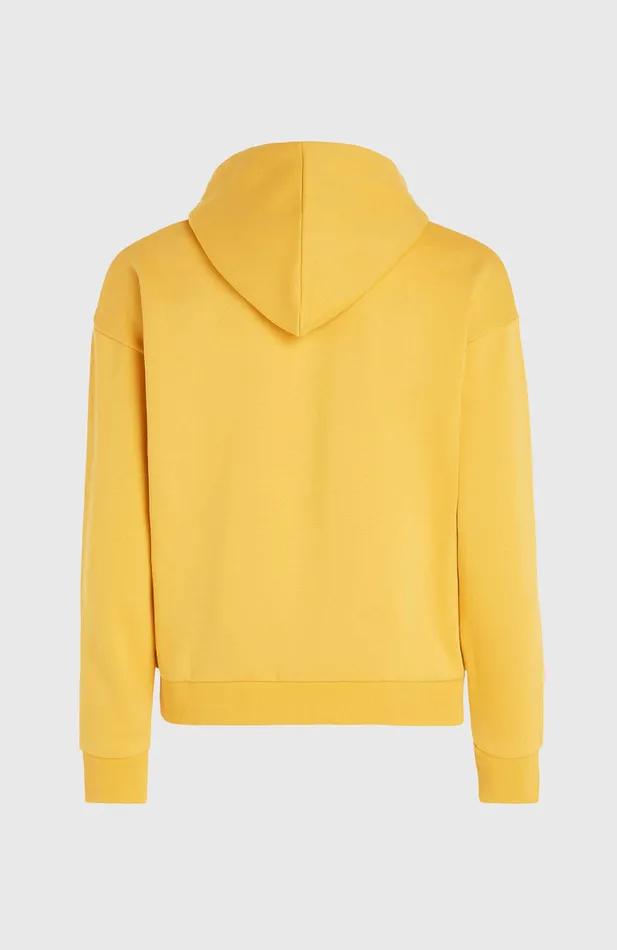 Women Future Surf Society Hoodie Yellow O039Neill Sweaters and Hoodies Women Future Surf Society Hoodie Yellow O039Neill Sweaters and Hoodies