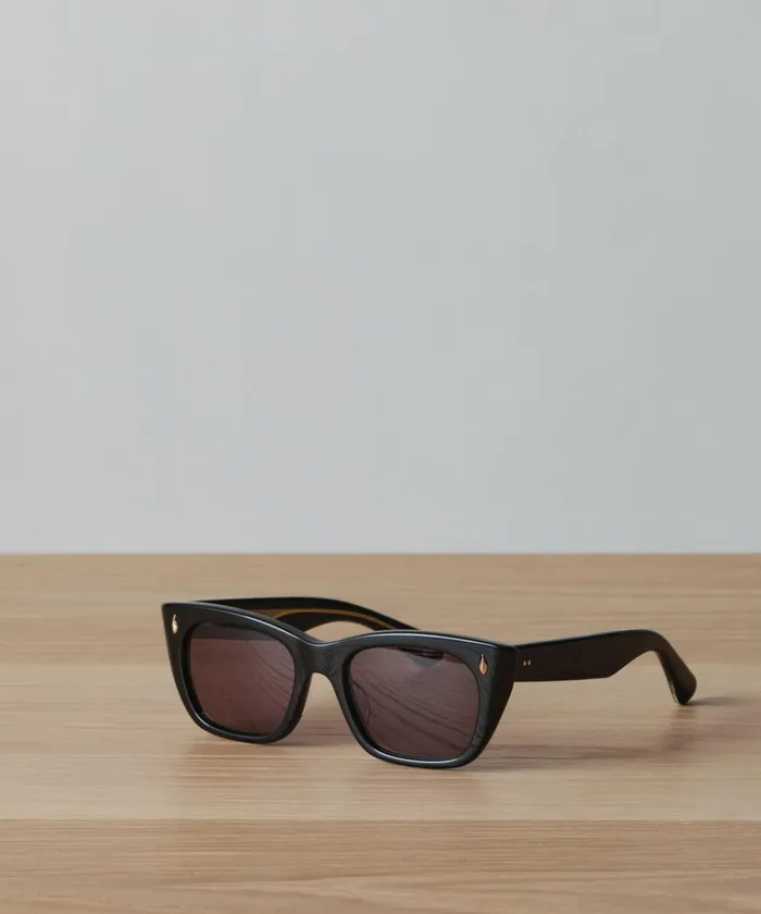 Women Jenni Kayne Sunglasses Webster Sunglasses Black
