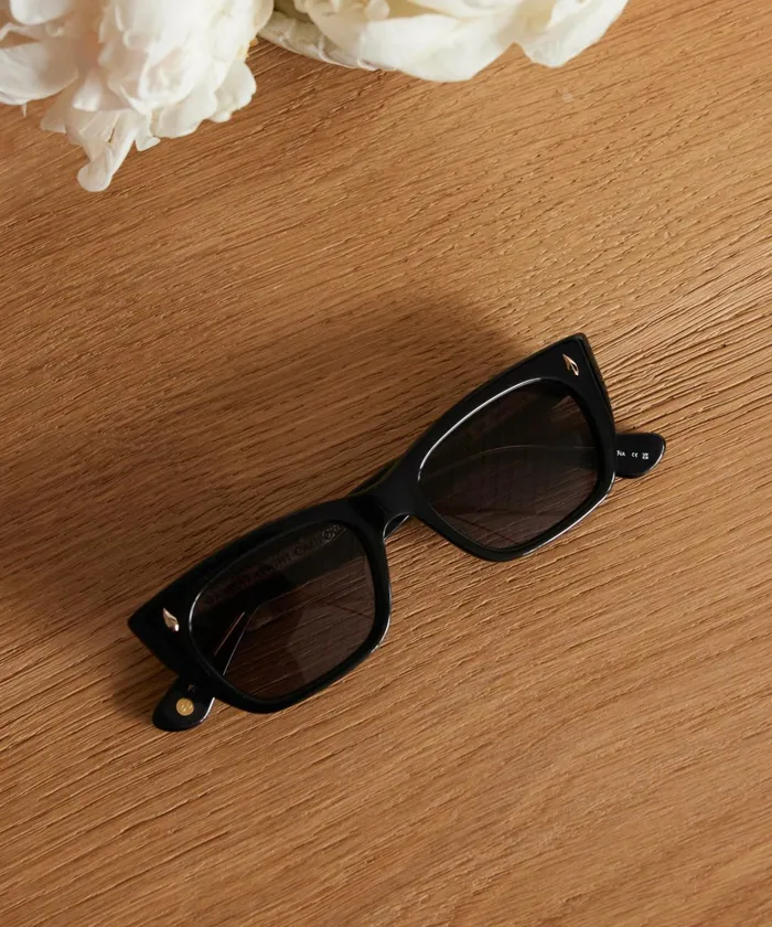 Women Jenni Kayne Sunglasses Webster Sunglasses Black