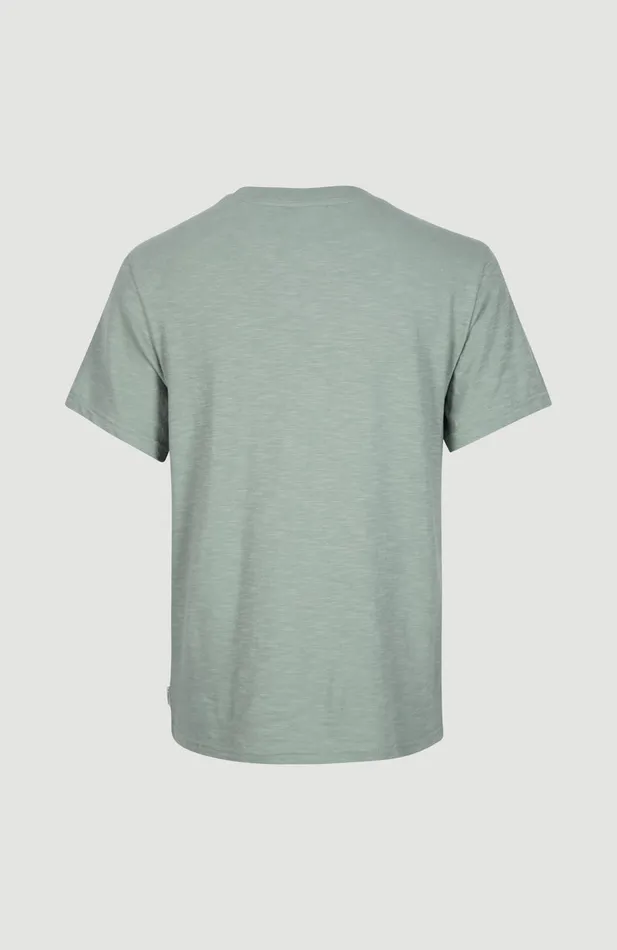 Women Luano Graphic TShirt Green O039Neill TShirts and Tops Women Luano Graphic TShirt Green O039Neill TShirts and Tops